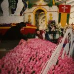 My Experience Decorating a Rose Parade Float